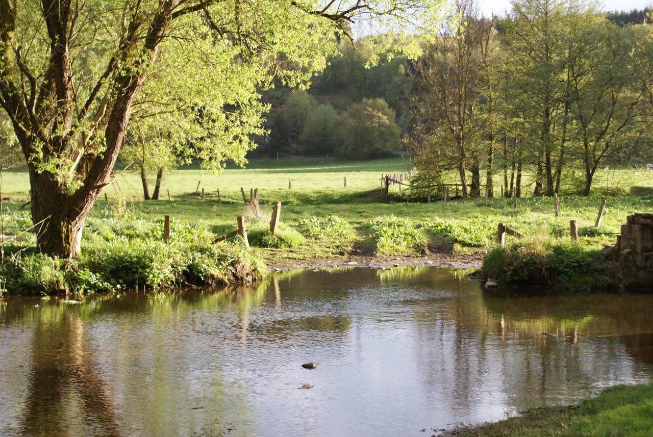 Le Gite De L Ourthe Ortheuville Eksteriør billede