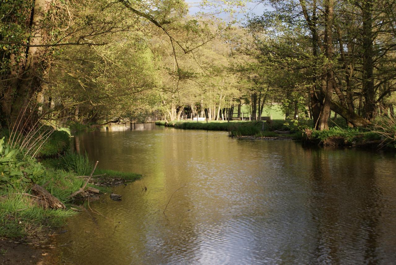 Le Gite De L Ourthe Ortheuville Eksteriør billede