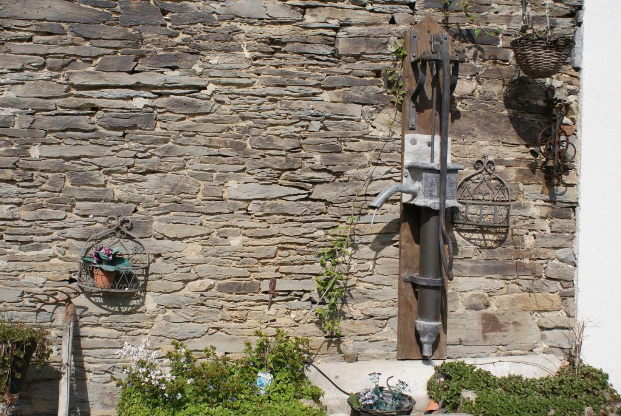 Le Gite De L Ourthe Ortheuville Eksteriør billede